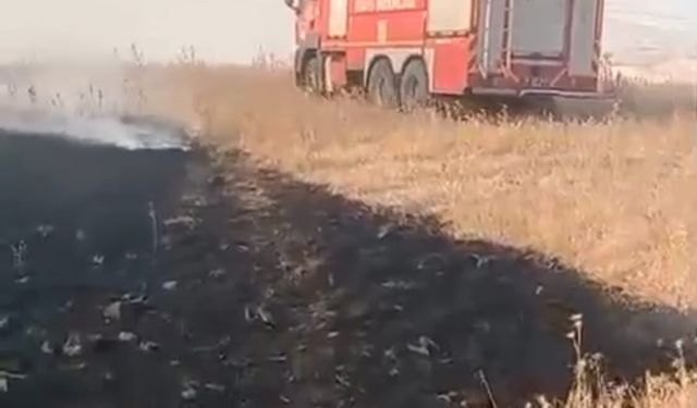 Batman'da 150 dönümlük anız yangını söndürüldü