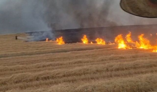 Diyarbakır'da 5 Bin Dönümlük Alanda Yangın