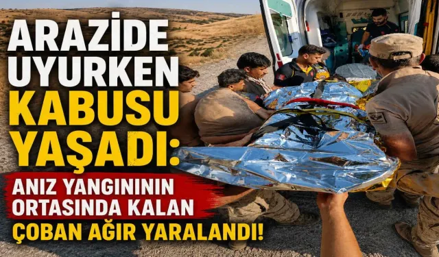 Arazide Uyuyan Çoban Kabusu Yaşadı: Anın Yanından Kaldı Ağır Yaralandı