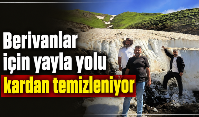 Berivanlar için yayla yolu kardan temizleniyor