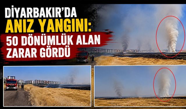 Diyarbakır'da Anız Yangını: 50 Dönümlük Alan Zarar Gördü