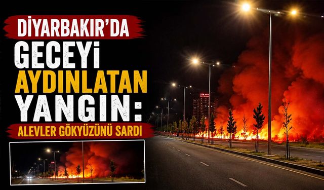 Diyarbakır'da Geceyi Aydınlatan Yangın: Alevler Gökyüzünü Sardı