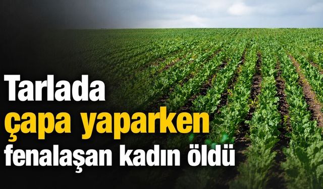 Diyarbakır'da tarlada çapa yaparken fenalaşan kadın öldü