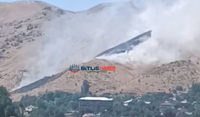 Bitlis'te Dağlık Alanda Çıkan Örtü Yangını Rüzgarın Etkisiyle Geniş Alana Yayıldı
