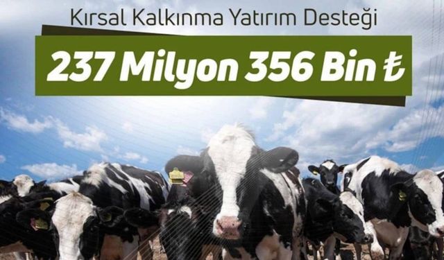237 Milyon Liralık Tarımsal Destek Çiftçilerin Hesaplarına Yatırılıyor