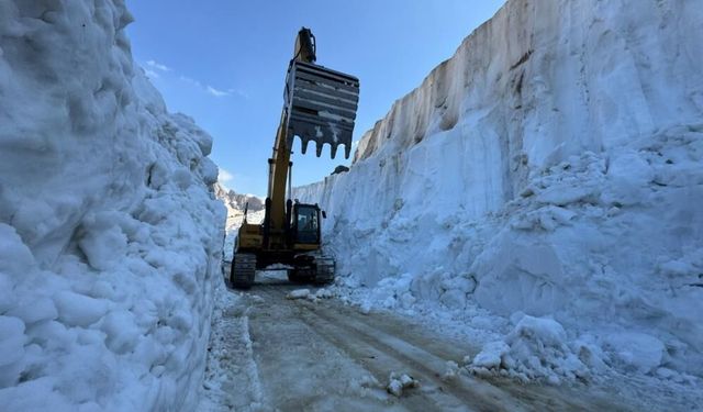 Hakkari'de temmuzda 8 metrelik kar tünelleri: İş makinesi kayboldu