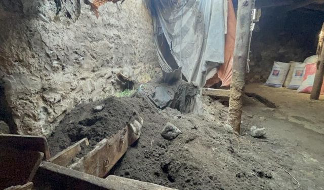 Kars'ta sağanak nedeniyle ahır çöktü
