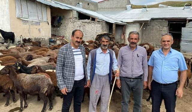 Küçükbaş yetiştiricilerine destek! Makine hibesi ve uygun fiyatlı ilaç