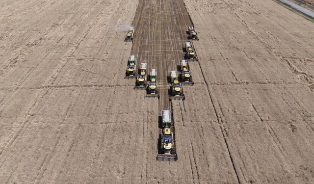 Muş'ta hububat hasadı: 11 milyar liralık katkı bekleniyor