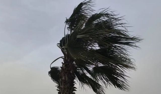 Van'da hafta sonu hava durumu nasıl olacak?
