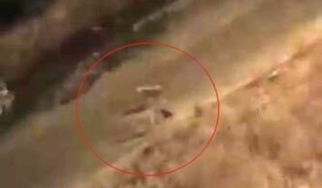 Başıboş köpeklerin kediye saldırdığı anlar böyle görüntülendi
