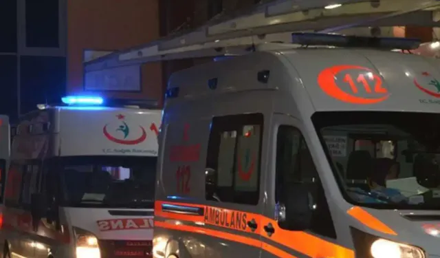Bingöl’de otomobil yoldan çıktı: 2 yaralı