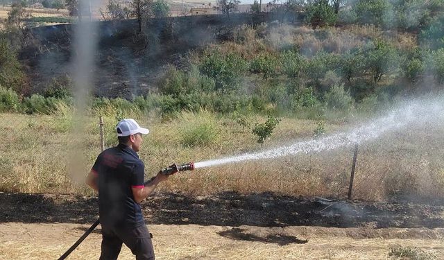 Siirt’te tarım arazileri alevlere teslim oldu: 85 dönüm zarar gördü