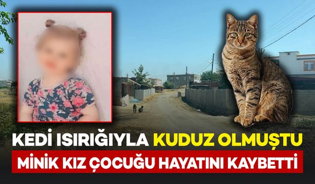 Kedi ısırmasıyla kuduz olan kız çocuğu hayatını kaybetti