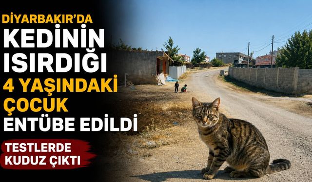 Diyarbakır’da kedinin ısırdığı 4 yaşındaki çocuk entübe edildi: Kuduz testi pozitif çıktı