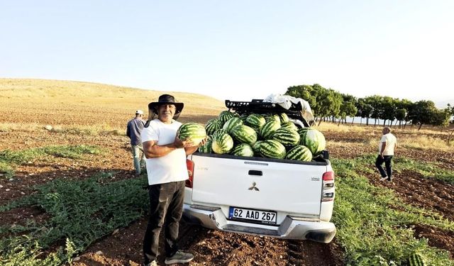 İlaçsız ve susuz yetişiyor, tezgahlarda yok satıyor