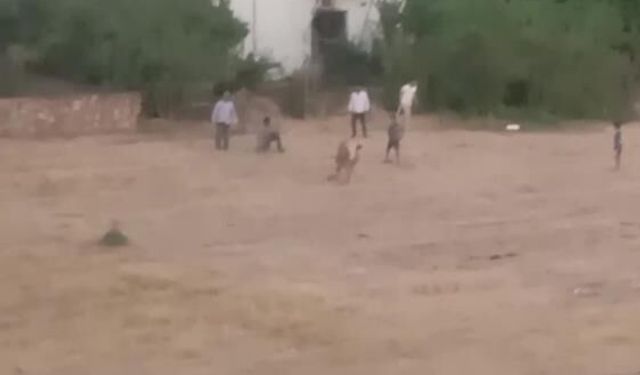 İneğini yakalamaya çalışırken boynuz darbesiyle yaralandı