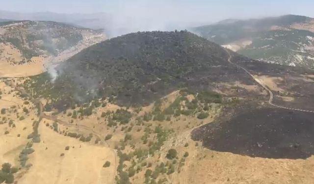 Karakoçan'daki orman yangını kontrol altına alındı