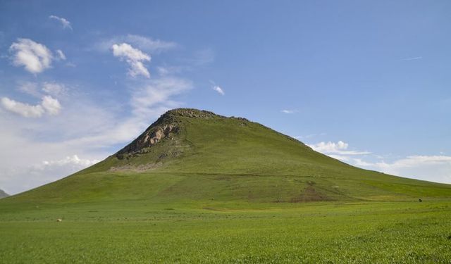 Sit alanları kaç çeşittir? Dereceleri ne anlama geliyor?