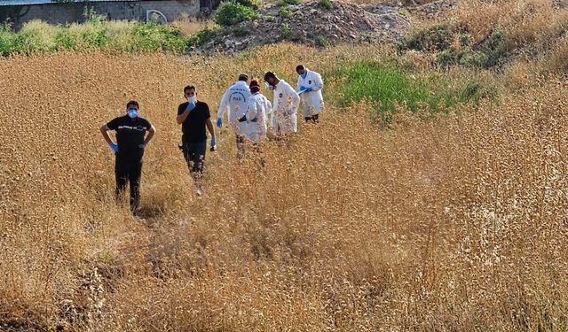 Tarladan gelen kötü koku cesedi ortaya çıkardı