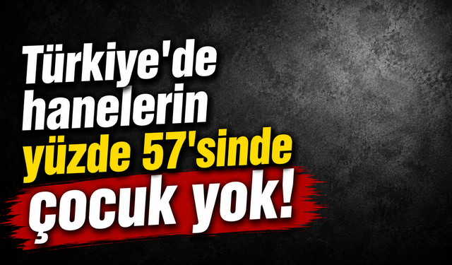 Türkiye'de hanelerin yüzde 57'sinde çocuk yok!