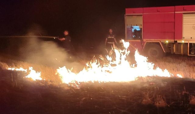 Van'da 10 günde 239 yangına müdahale