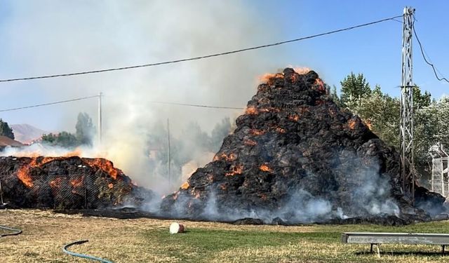 Yüksekova'da yangın: Binlerce bağ ot yandı