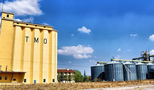 TMO’dan üreticilere 3,6 milyar TL’lik ödeme: Hesaplara yatırıldı