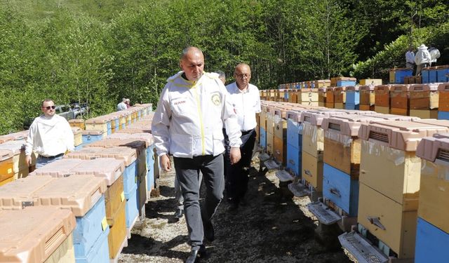 Arıcılık desteklerine yüzde 80 zam: Kovan başına destek 475 TL’ye kadar çıktı
