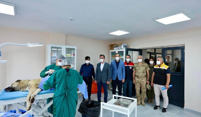 Vali Karakaya sahipsiz hayvanların bakım merkezini inceledi