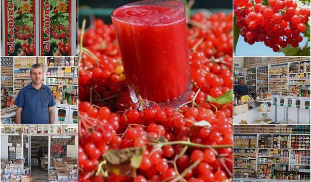 Aktar Gümüş anlattı: Gilaburu nektarı nedir, ne işe yarar?