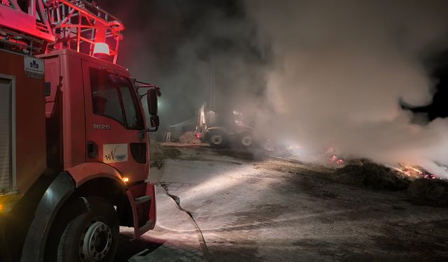 Van'da 2 bin 500 bağ ot yangında kül oldu