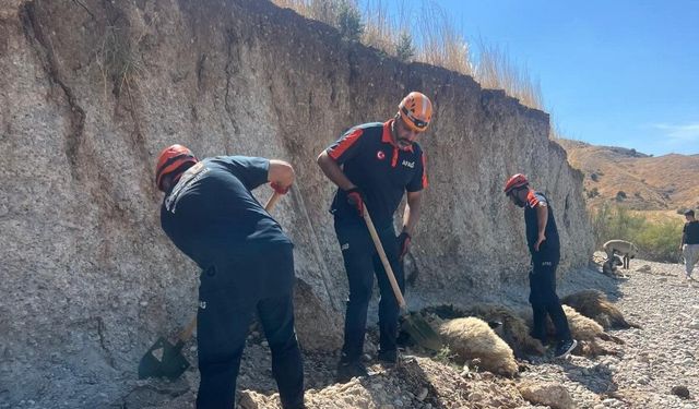 Toprak kayması sonucu 6 küçükbaş hayvan telef oldu