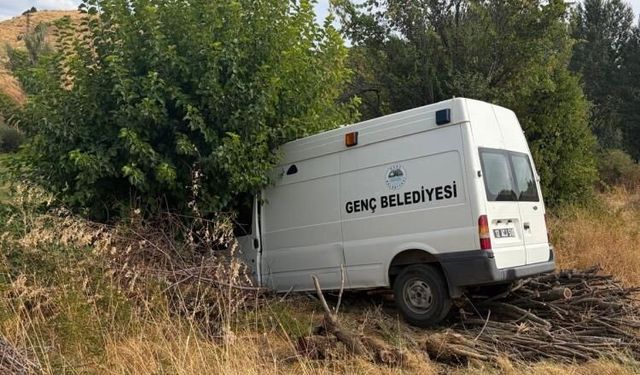 Bingöl'de belediye minibüsü ağaca çarptı: 3 yaralı