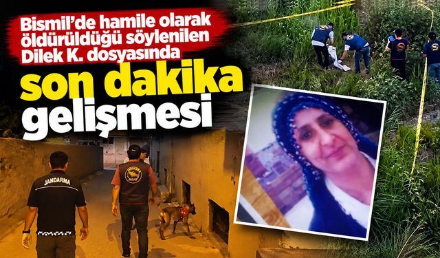 Bismil’de hamile olarak öldürüldüğü söylenilen Dilek K. dosyasında son dakika gelişmesi