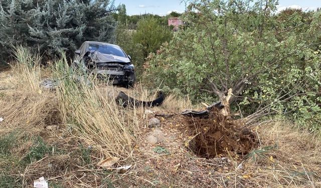Elazığ'da otomobil ağaca çarptı: 4 yaralı