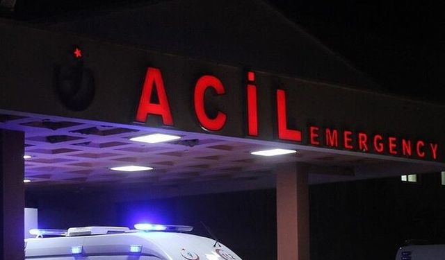 Köpeğe çarpan otomobil refüje çıktı, direğe çarptı