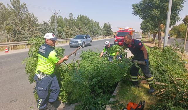 Kuvvetli rüzgar Batman-Silvan yolunda ağacı devirdi: Trafik aksadı