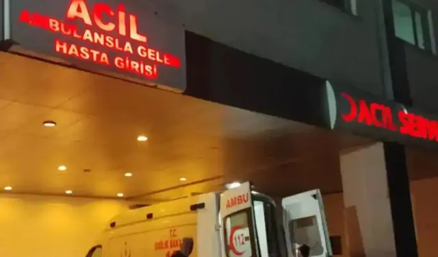 Siirt'te fıstık toplamaya giden 7 kişi kazada yaralandı