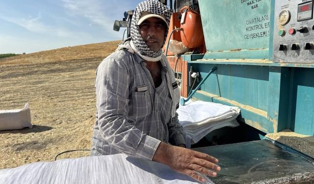 Tarlada 2,50 lira, besicide 7 lira: Samanın fiyat yolculuğu