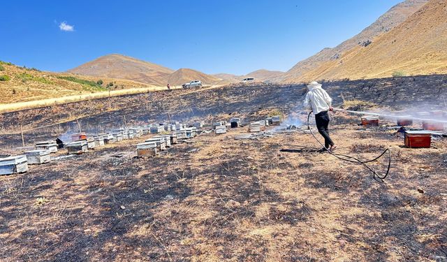 Yangında alev alan kovanlara müdahale ederken arıların saldırısına uğradı