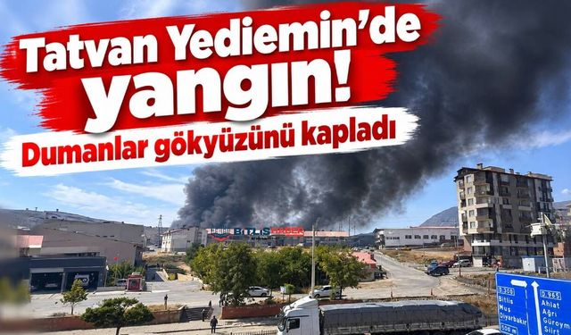 Tatvan Yediemin’de yangın! Dumanlar gökyüzünü kapladı