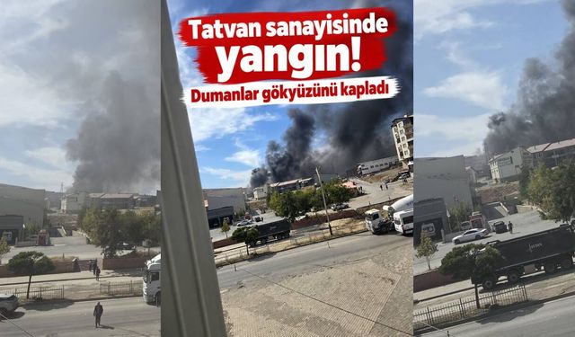 Tatvan Yediemin’de yangın! Dumanlar gökyüzünü kapladı