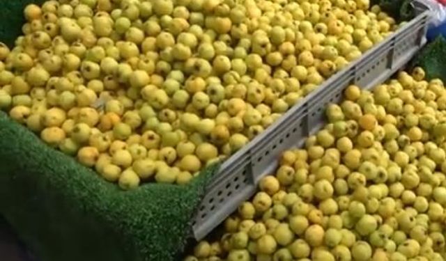 200 TL ile sadece bir avuç alınıyor! Sonbaharın meyvesi cep yakıyor