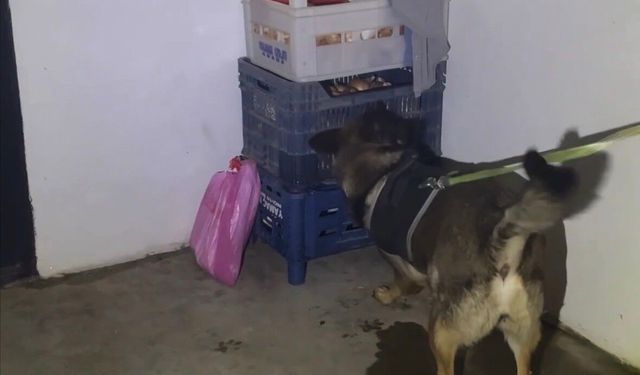 Bingöl'de Uyuşturucu Operasyonu: 1 Kişi Tutuklandı!