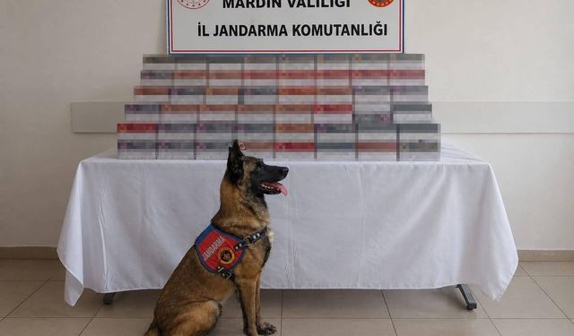 Mardin'de jandarma ekiplerince kaçak tütün ve sigara ticaretine yönelik düzenlenen operasyonlarda piyasa değeri 8 milyo