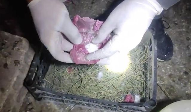 Iğdır'da kümeste uyuşturucu ele geçirildi: 3 şüpheli tutuklandı