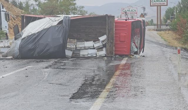 Malatya-Adıyaman yolunda arı yüklü kamyon devrildi: 2 yaralı