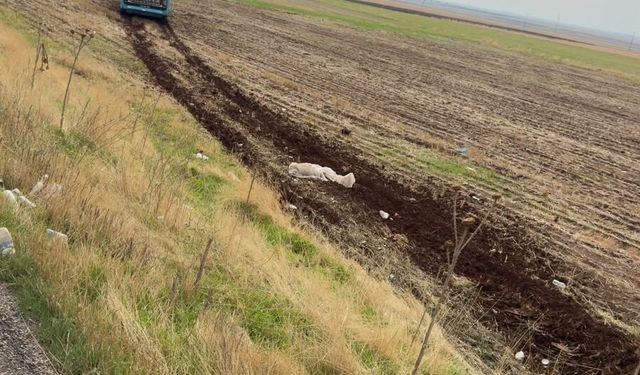 Yolcu otobüsü tarlaya girdi: 21 kişi ölümden döndü