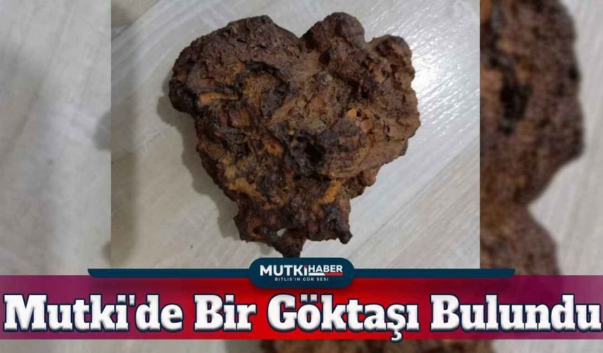 Mutki'nin Merkezinde 145 Gramlık Göktaşı Bulundu!